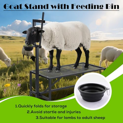 800 LBs Goat Stand with Feed Bin, Adjustable Size Goat Milking Stand