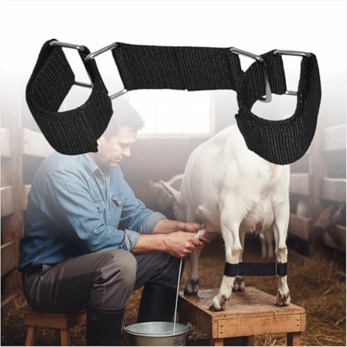 MESINURS Adjustable Goat Hobbles Binding for Milking Stand, Durable Nylon Goat Leg Restraint Strap with Metal Buckle, Anti Kick Goat Binding Tool for Dairy Goats, Nigerian Dwarf, Nubian