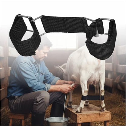 MESINURS Adjustable Goat Hobbles Binding for Milking Stand, Durable Nylon Goat Leg Restraint Strap with Metal Buckle, Anti Kick Goat Binding Tool for Dairy Goats, Nigerian Dwarf, Nubian