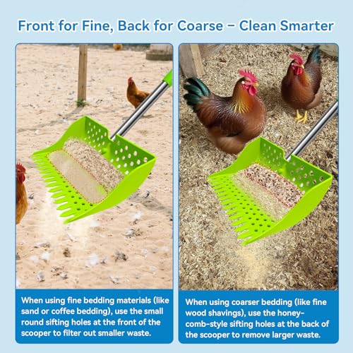 2-in-1 Chicken Poop Scooper & Rake, 20–61" Extendable Handle