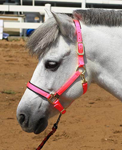 T TEKE Adjustable Horse Halters by Heavy Duty Soft Nylon, Padded with Anti-rubbing Waffle Neoprene on Both Crown & Nose - color: Pink, size: XXS Pony