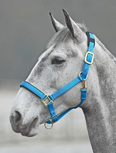 Shires Topaz Leather Breakaway Nylon Headcollar - color: Blue, size: Cob