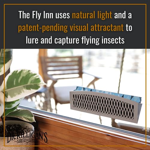 Dr. Killigan's Replacement Traps for The Fly Inn, 6 Sticky Trap Refills