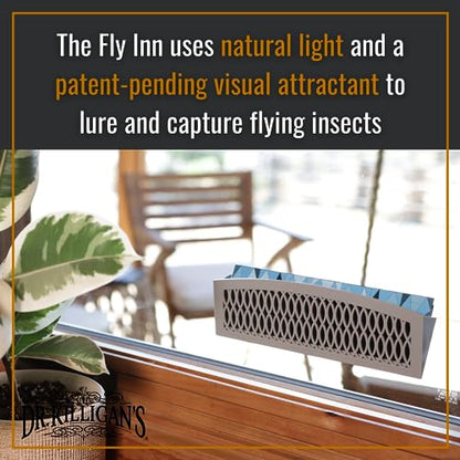 Dr. Killigan's Replacement Traps for The Fly Inn, 6 Sticky Trap Refills