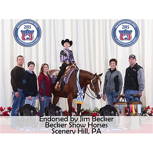 Western Felt Saddle Pad| Powerful Ceramic Therapy | Enhances Circulation | Aids Recovery & Prevents Injury | Soothes Sore Backs | Ideal for Work or Under Navajo Horse Saddle Pad
