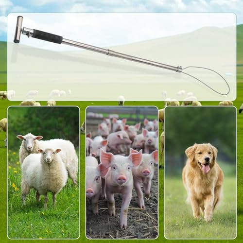 Dog Catcher Pole, Portable Animal Control Pole Tool | 30'' Hog Pig Catcher,Stainless Steel,Anti-Slip,For Pig Dog Goat Animals Swine,Livestock Farm Equipment