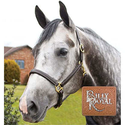 Billy Royal Scottsdale Padded 3/4 Leather Halter for Horses | Exceptional Comfort | Premium Grade A Leather | Adjustable Fit | Minimized Rubs | Enhanced Beauty - size: Cob