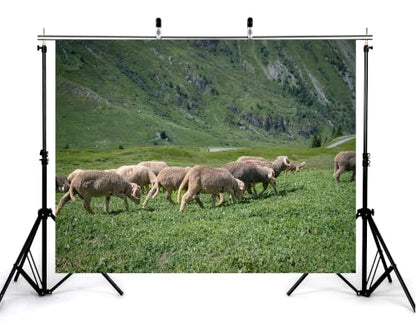 8x6ft Fabric Alpine Sheep Pasture Backdrop Wool Sheep Green Grass Steep Rocky Hillside Small Alpine Meadow Photography Background Tapestry Pastoral Decorations Photo Booth Props - size: 8x6ft