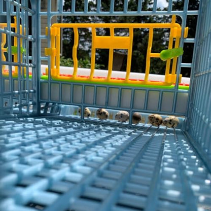 Hatching Time Jumbo Quail Cage Layer Addition – Jumbo Flooring Expansion Add-On for Quail Housing │ Removable Dividers, Extended Waste Trays, Egg Roll-Out Design, Easy-Clean ABS Plastic - style: Jumbo