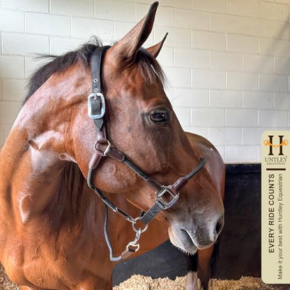 Huntley Equestrian Nylon Halter and Lead, Black - size: Pony