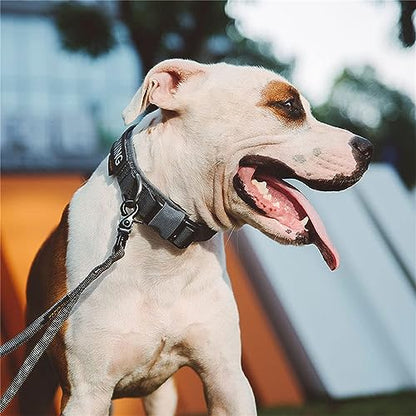 EXCELLENT ELITE SPANKER Tactical Nylon Padded Medium Dog Collar Adjustable - color: Grey, size: S-(13.2"-17.5")