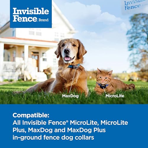 Invisible Fence Brand Power Cap Battery, 1-Pack - style: 1 Pack