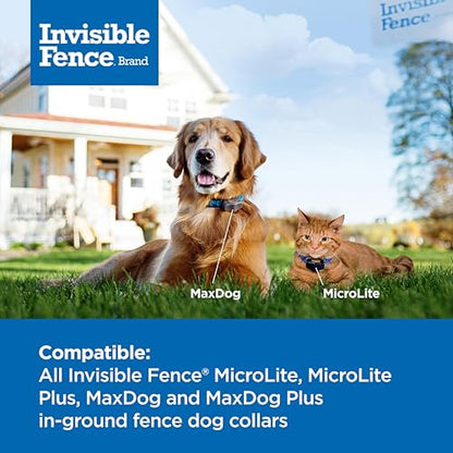 Invisible Fence Brand Power Cap Battery, 1-Pack - style: 1 Pack