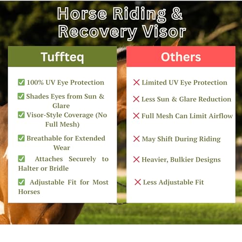 Horse Fly Mask Visor with UV Shield, Adjustable Fit for Riding