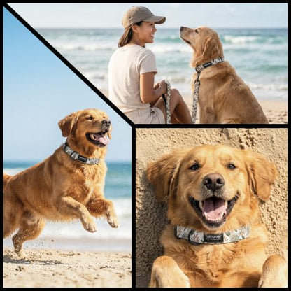 Tuff Pupper Premium Adjustable Dog Collar, Stylish Pattern Collars Designed in USA, Quick Release Buckle, Palm Grove Small (0.7 Inch Wide x 8-12 Inch Neck) - color: Palm Grove, size: Small