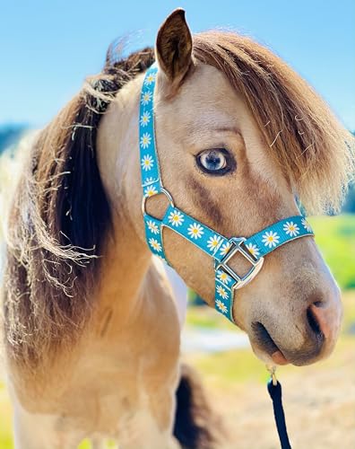 Star Point Horsemanship Rainbow Cheetah Halter - size: Large 33-40" Mini-Pony