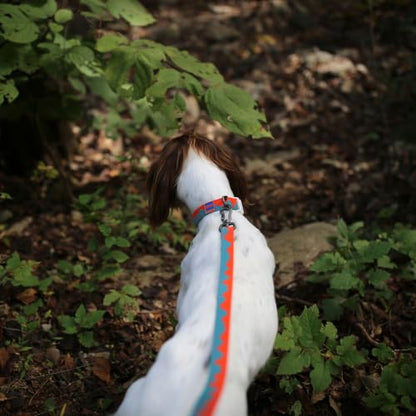 Charlie’s Backyard Teton Dog Collar, Urban to Trail Lightweight & Adjustable with Quick Release DURAFLEX Buckle, Durable D-Ring & All-Day Comfort, Sunset Peaks, Large - color: Sunset Peaks, size: Large