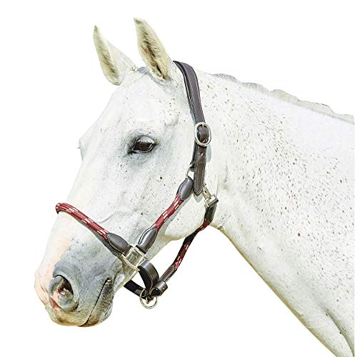 Kincade Leather Rope Headcollar, Black, Full - color: Black, size: Full