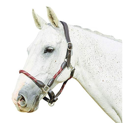 Kincade Leather Rope Halter, Hunter Green/Brown, Full - color: Hunter Green/Brown, size: Full