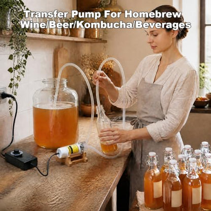 Food Grade Small Electric Water Transfer Pump,110V,Adjustable Speed 0-2LPM - color: White-with Speed Adjustable