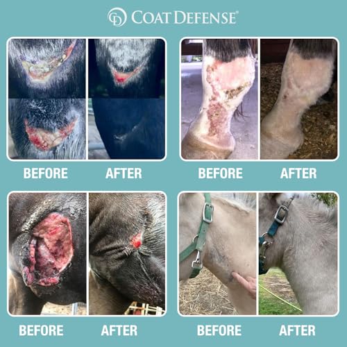 COAT DEFENSE Trouble Spot Drying Paste for Horses - Natural Equine Wound Care That Provides Safe & Effective Relief from Scratches, Sweet Itch, Summer Sores, Proud Flesh, Mud Fever, Girth Rot (10 Oz) - size: 10 Oz