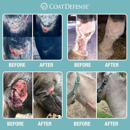 COAT DEFENSE Trouble Spot Drying Paste for Horses - Natural Equine Wound Care That Provides Safe & Effective Relief from Scratches, Sweet Itch, Summer Sores, Proud Flesh, Mud Fever, Girth Rot (10 Oz) - size: 10 Oz