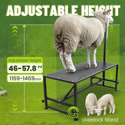 Kojem 51x23 Inches Milking Stand for Goats Livestock Trimming Stand | Platform Adjustable 18" - 33" Animal Head Holding Bar Adjustable 46" - 57" Steel Black Trimming Frame