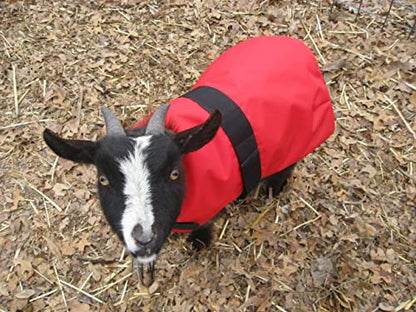 Insulated Kid Coats for Newborn Goats 14" - Burgundy