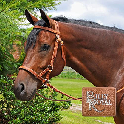 Billy Royal Schneiders Padded Nose Leather Side Pull | Ideal Bitless Training Aid | Hand Rubbed & Oiled Heavyweight Harness | Comfortable Padded Noseband | Adjustable & Durable