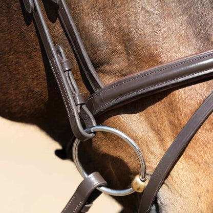 Jeffers Uniquely English Leather Horse Bridle with Reins, Padded Crown, Adjustable Noseband, English Bridle Tack for Hunter, Jumping, Dressage, Riding - size: Cob