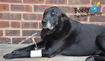 PawFlex Basic Leg Bandages for Dogs, Cats and Other Pets First Aid Non-Adhesive Fur Friendly - Value 10 Pack (5 Standard, 5 Wide) by PawFlex (XX-Small) - size: 2XS 10-Pack
