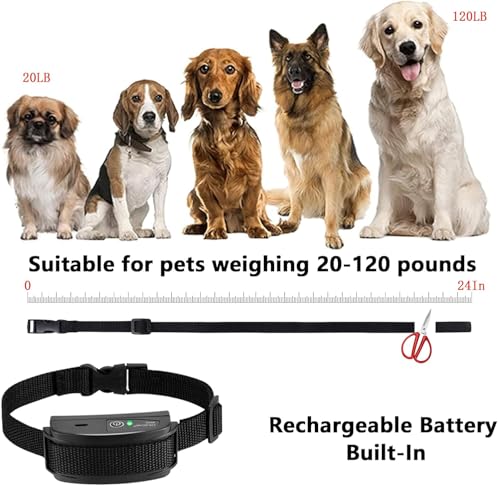 Basic In-Ground Pet Fence - Underground 2 Dog Fence System, Electric Fence for Dogs Waterproof Training 2 Collars for Dog Over 20lb, Wireless Electric Dog Fence System (2 Dog System)