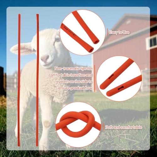 10 Pieces Lamb Feeding Tubes, Red Flexible Rubber Replacement Tubing Supplies for Lamb,Sheep,Piglet,Rabbit,Puppy Feeding (16 Inch x 16FR) (10 Pack, 18 FR) - color: 10 Pack, size: 18 FR