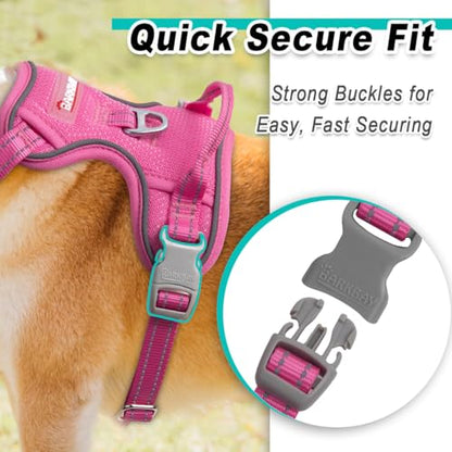 BARKBAY Dog Harness for Small Sized Dog No Pull Mesh 2 Clips Dog Vest - color: Pink-Mesh, size: X-Small