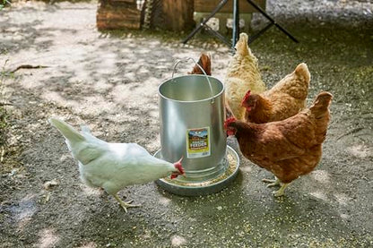 Hanging Poultry & Gamebird Feeder with Feed Pan, 30 Lb Galvanized Steel - size: 30 pounds