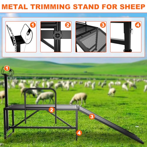 Heavy Duty Sheep Trimming Stand with Ramp - Adjustable Livestock Grooming & Milking Stand for Goat, Sheep Shearing and Milking Frame