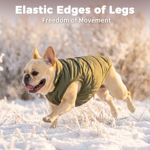 JoyDaog Fleece Lined Dog Jacket for Small Dogs,Winter Dog Coat,Green XS - color: Green, size: X-Small