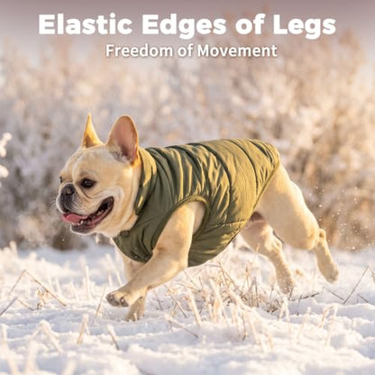 JoyDaog Fleece Lined Dog Jacket for Small Dogs,Winter Dog Coat,Green S - color: Green, size: Small
