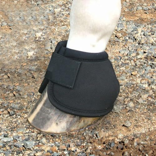 Horse Care Boots - size: Large