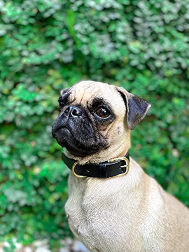 Tuff Pupper Heavy Duty Waterproof Dog Collar for Small, Medium & Large Dogs - color: Epic Black