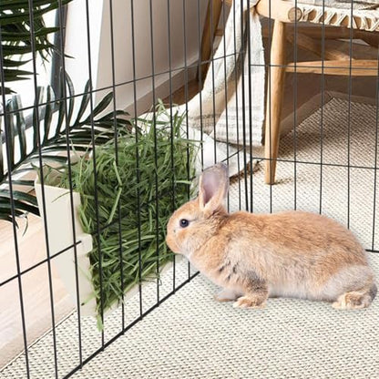 Hypeety Rabbit Hay Feeder Automatic Hay Rack for Guinea Pigs, White - color: White, size: 1pc