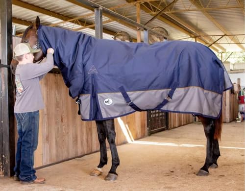 Jeffers Economy Plus Horse Turnout Blanket 81" with Combo Neck - Medium Weight 1200 Denier, 240G Polyfill, Waterproof Rug, Adjustable Chest, Belly Surcingles, Hind Leg Straps, Tail Flap - Navy Gray - size: 81 in