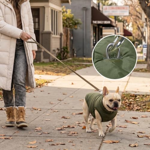 JoyDaog Fleece Lined Dog Jacket for Small Dogs,Winter Dog Coat,Green XS - color: Green, size: X-Small