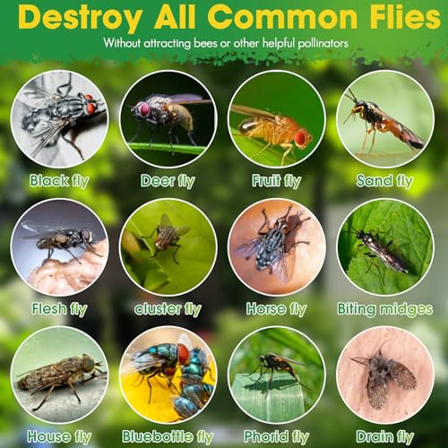 Outdoor Fly Trap, 2 Pack Reusable Hanging Fly Traps with 12 Bait Refills | Includes 12 Non-Toxic Dissolvable Bait Refills for Catching House, Barn, Filth Flies Around Patios, Yards, Farms, Ranches