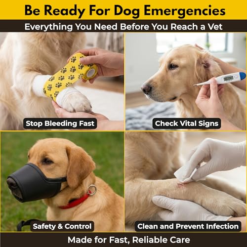 Dog First Aid Kit, Cat and Pet Emergency Kit, Vet Approved, 74 Pcs