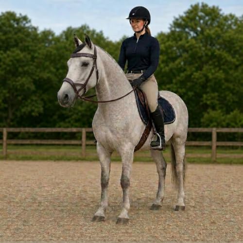 CHALLENGER Horse Western Leather Bitless Sidepull Bridle Split Reins 77RS25 - color: Brown/Purple