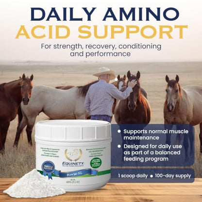 100-Day Supply Equinety Horse XL Powder Horse Supplement with Amino Acids - style: Horse XL