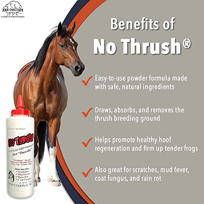 Four Oaks Farm Ventures, No Thrush Dry Powder Treatment for Horses - Wound Care, Scratches, Rain Rot, Mud Fever, Coat Fungus - All Natural Ingredients, Non-caustic, Easy to Use Powder Formula (10 oz) - size: 10 Ounce