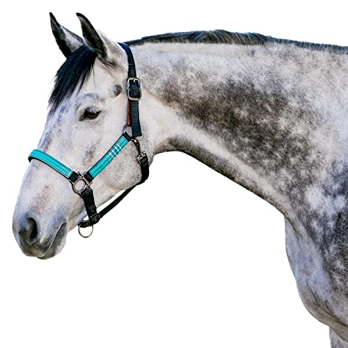 Kensington Premium Breakaway Halter with Padded Nose — Added Breakaway Safety Measures — Snap at Throat for Identical Fit Each Time - color: 2021 - Atlantis, size: X-Large