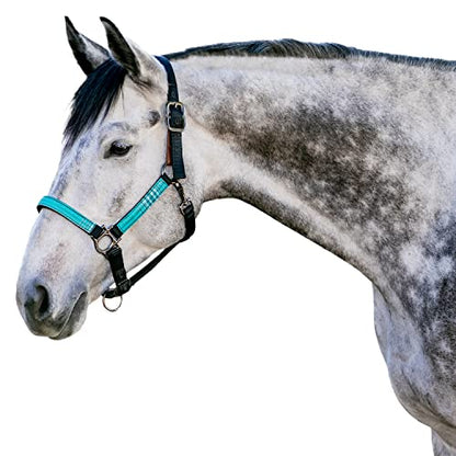 Kensington Premium Breakaway Halter with Padded Nose — Added Breakaway Safety Measures — Snap at Throat for Identical Fit Each Time - color: 2021 - Atlantis, size: X-Large